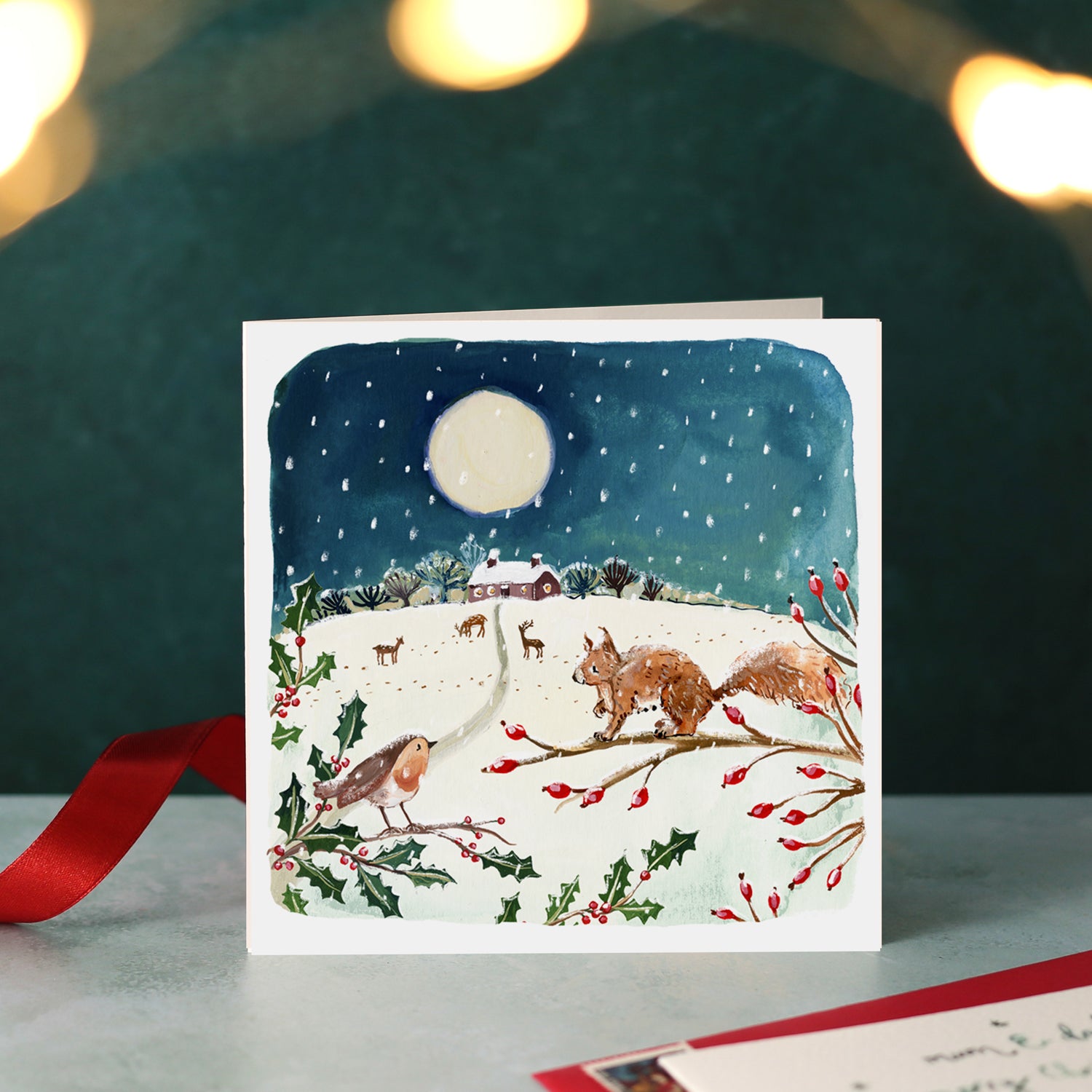 Squirrel and Robin Blank Christmas Card