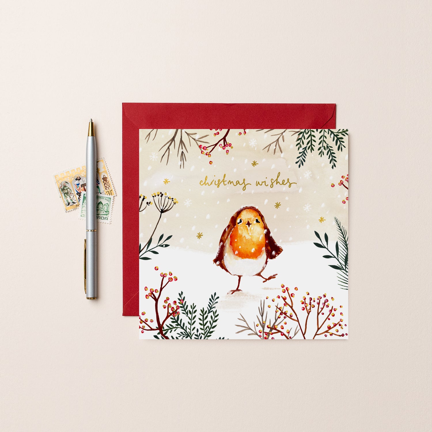 Christmas Wishes Robin Christmas Card