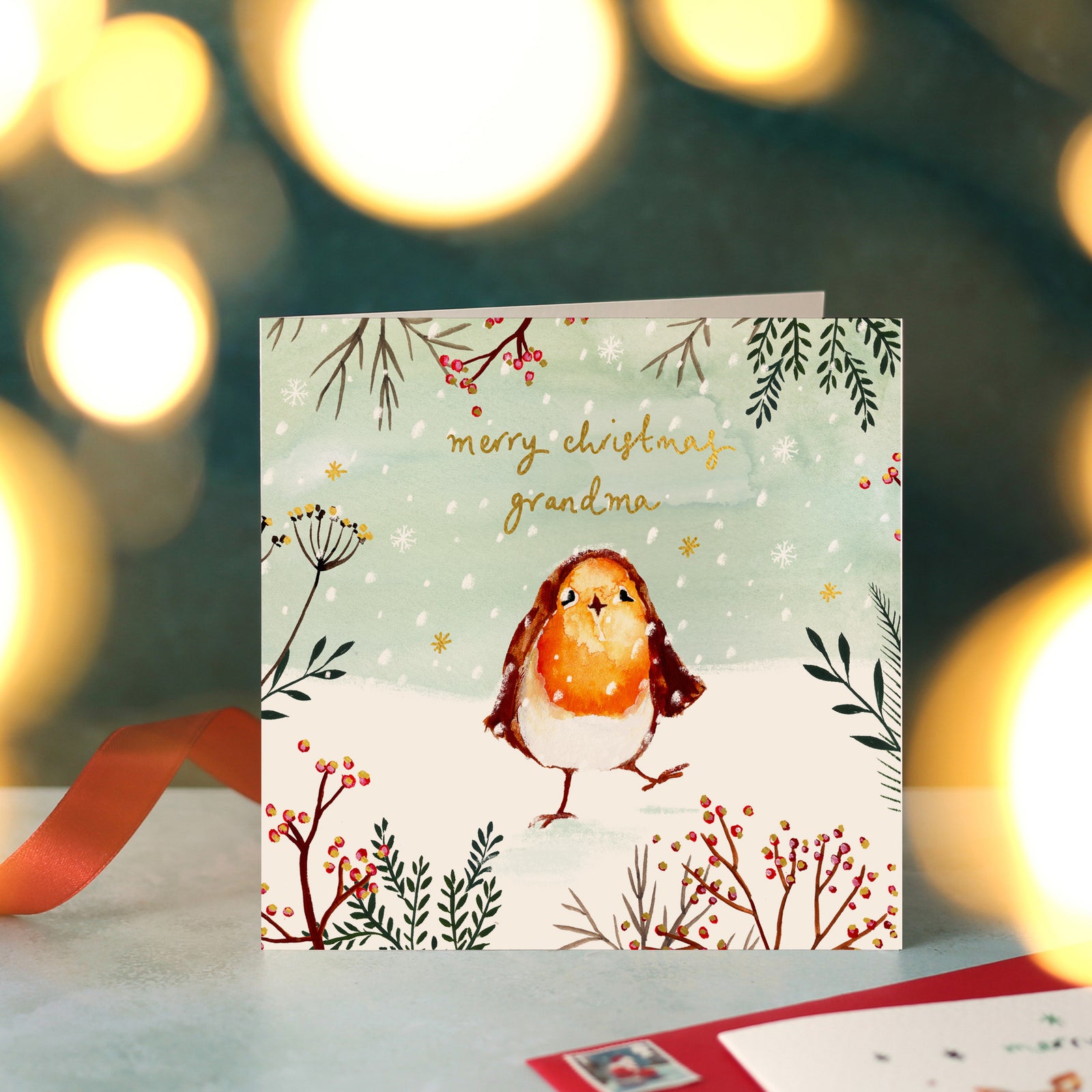 Robin Merry Christmas Card for Grandma