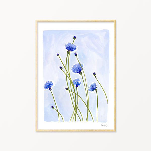 Image of illustrated cornflowers in a frame
