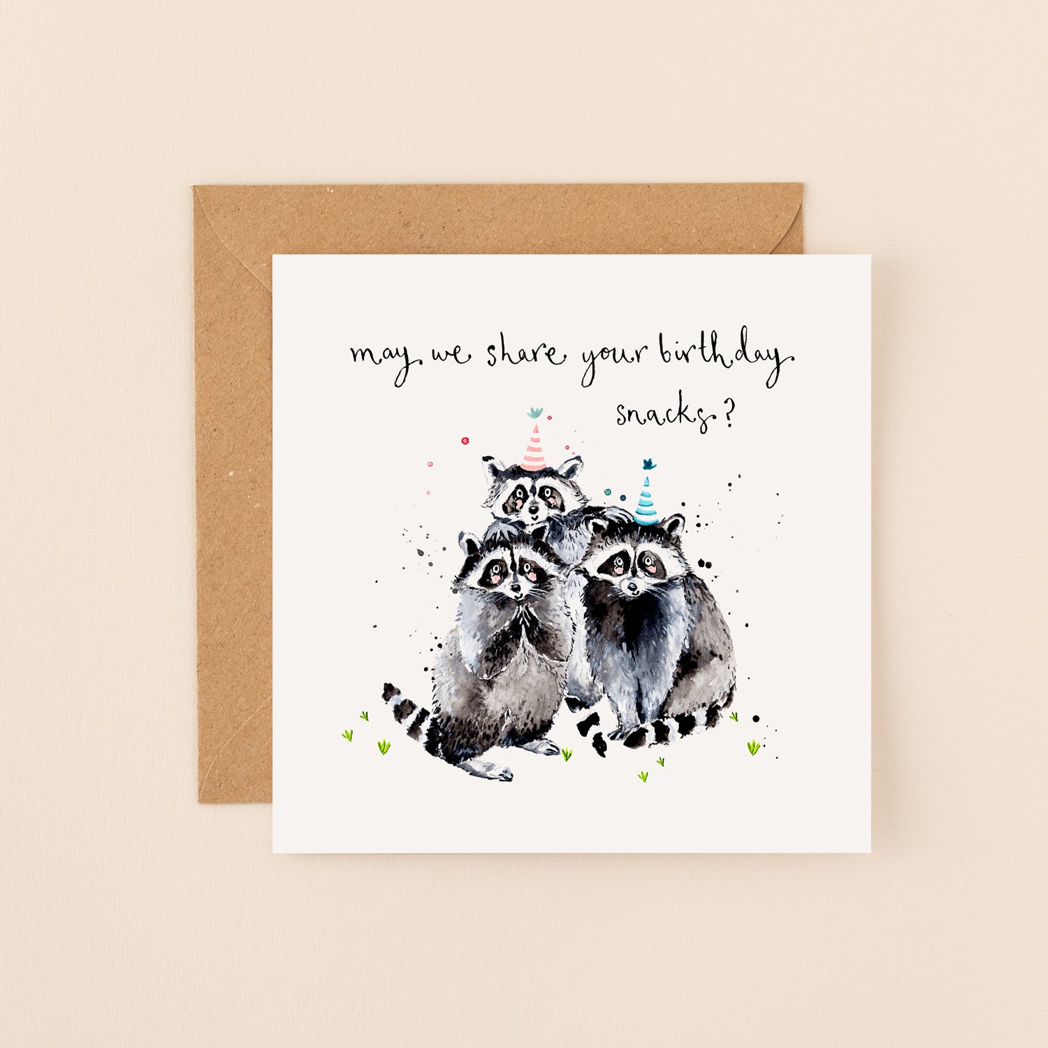 Raccoons Snacks Birthday Card