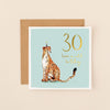 Cheetah 30th Birthday Card