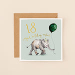 Elephant 18th Birthday Card