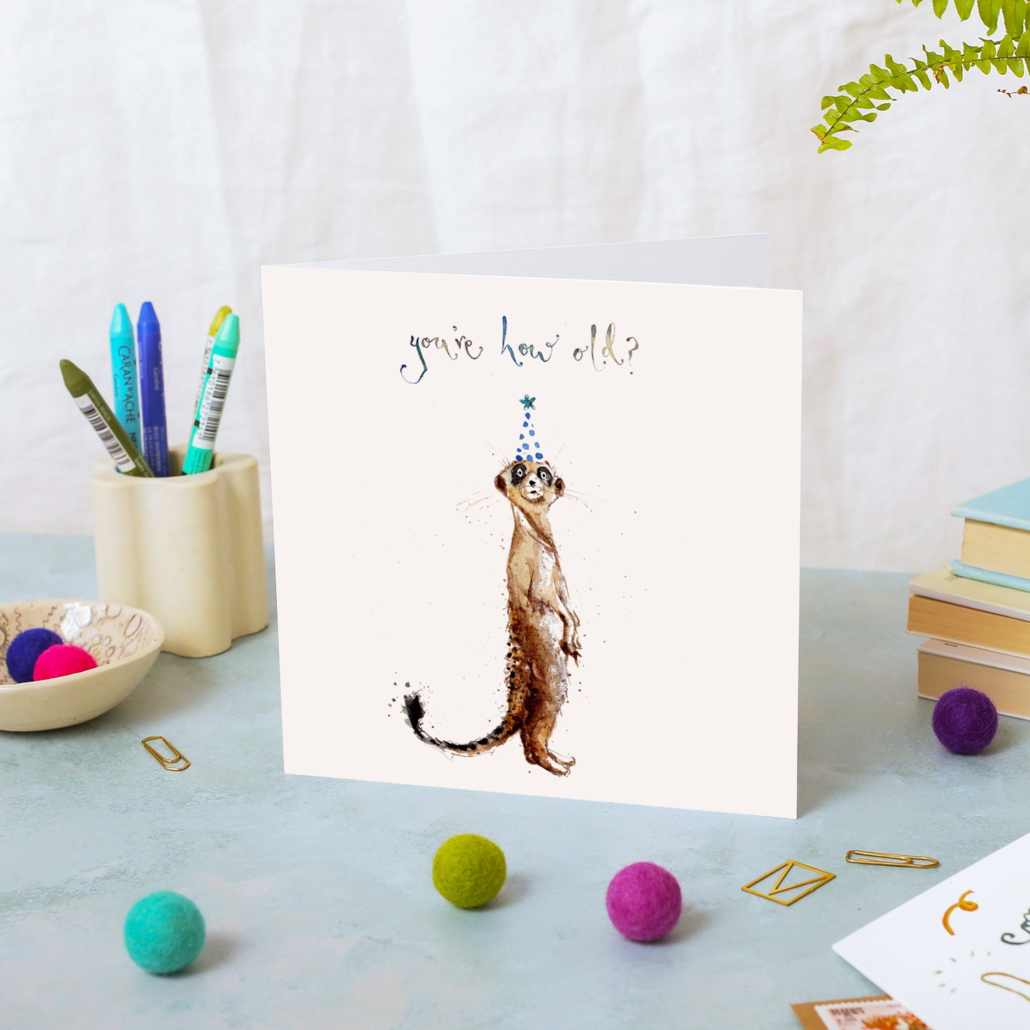 How Old? Meerkat Birthday Card