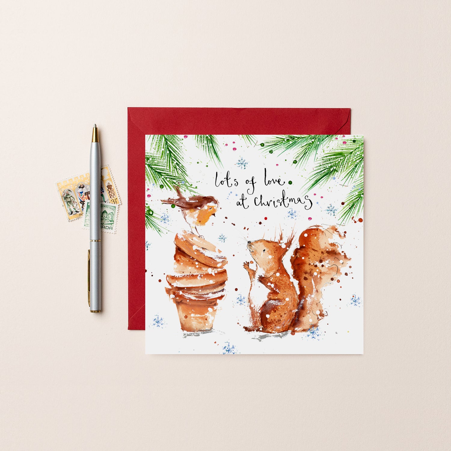 Squirrel and Robin Christmas Card