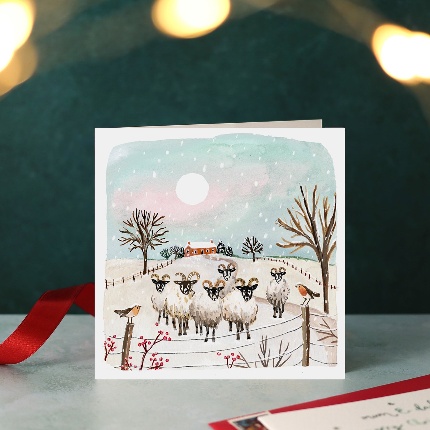 Sheep and Robins Blank Christmas Card