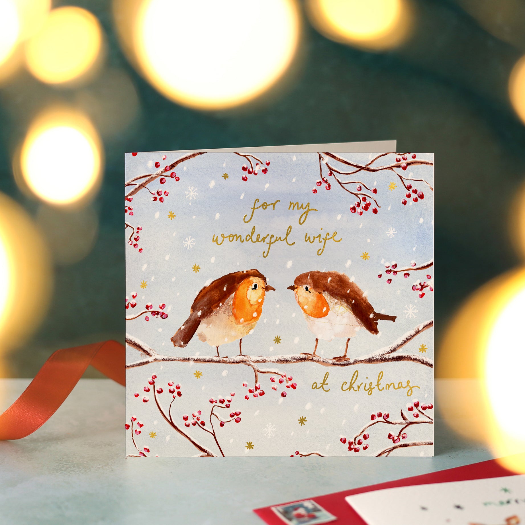 Robins For My Wonderful Wife Christmas Card