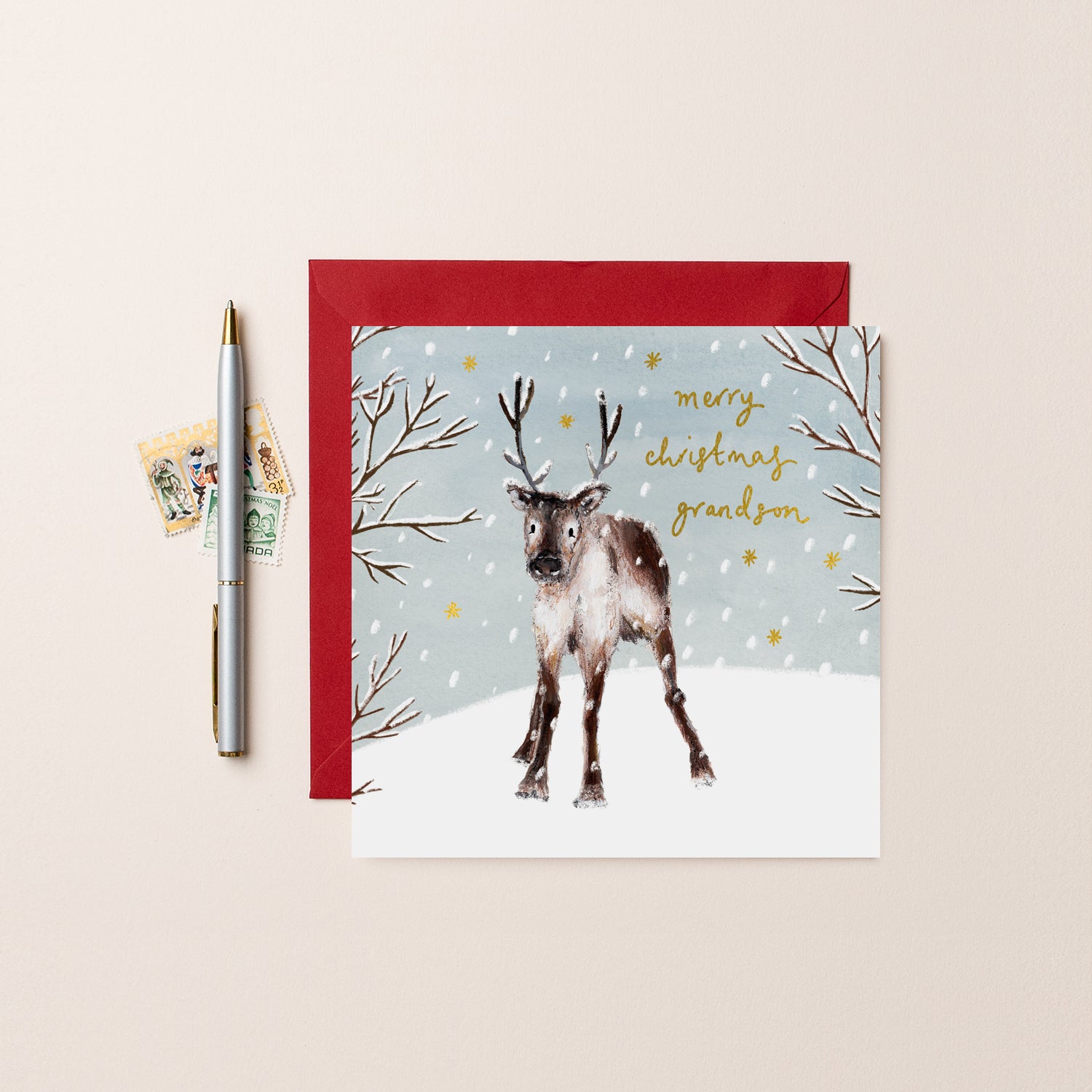 Merry Christmas Grandson Reindeer Christmas Card