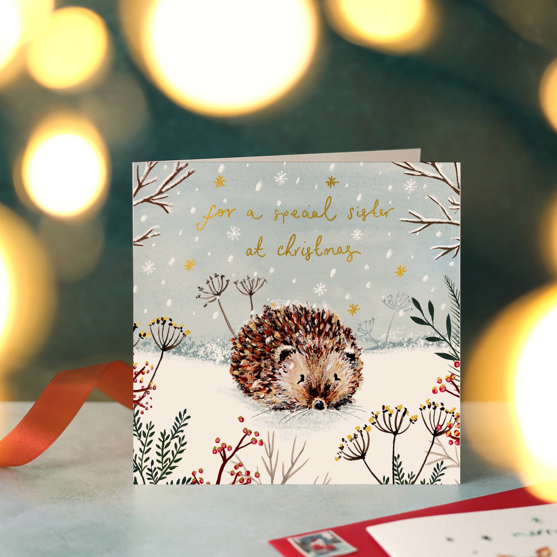 For A Special Sister Hedgehog Christmas Card