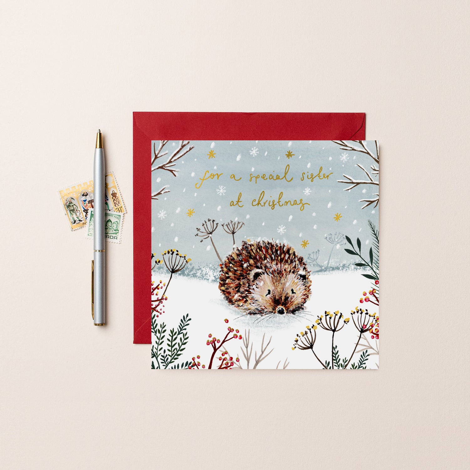 For A Special Sister At Christmas Hedgehog Card