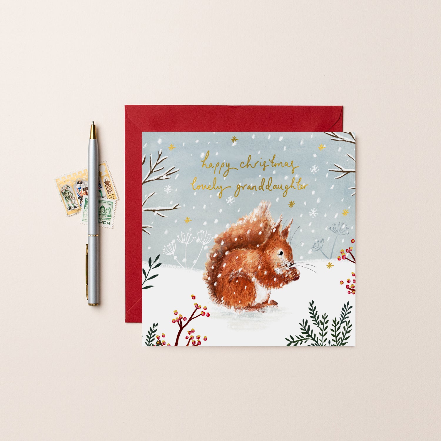 Squirrel Lovely Granddaughter Christmas Card