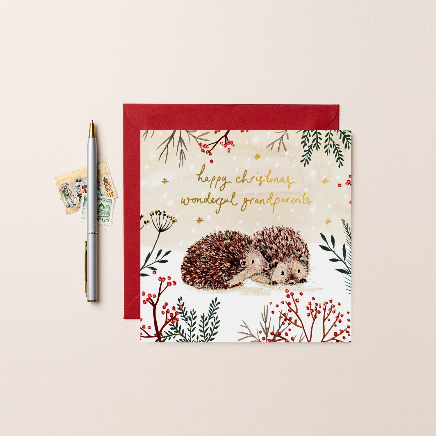 Hedgehogs Happy Christmas to Wonderful Grandparents Card