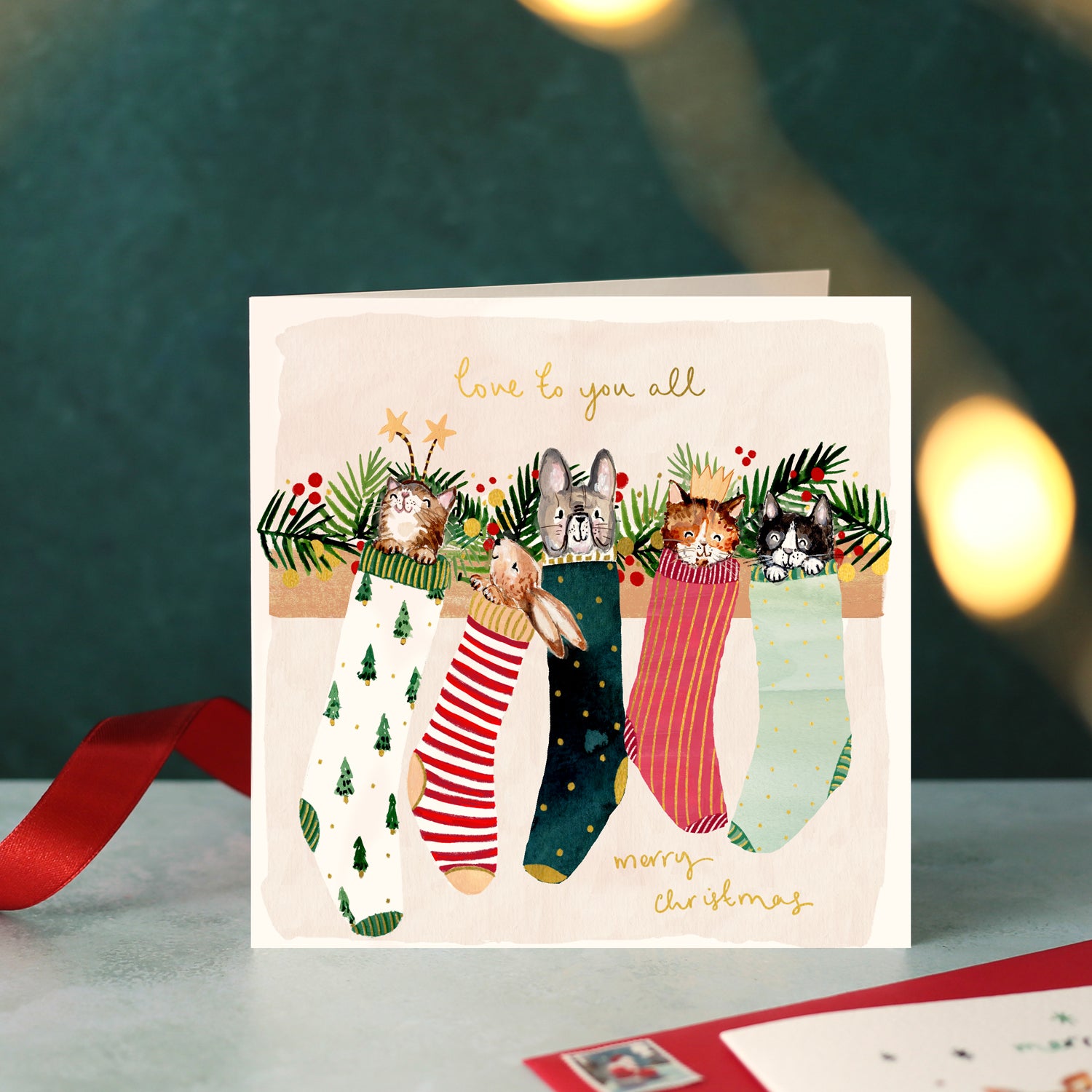 Animals in Stockings Love To You All Christmas Card