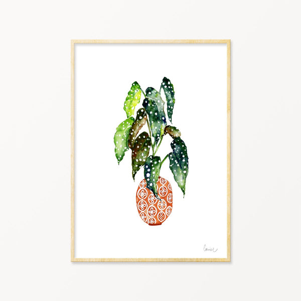 Image of illustrated spotted begonia plant print in frame