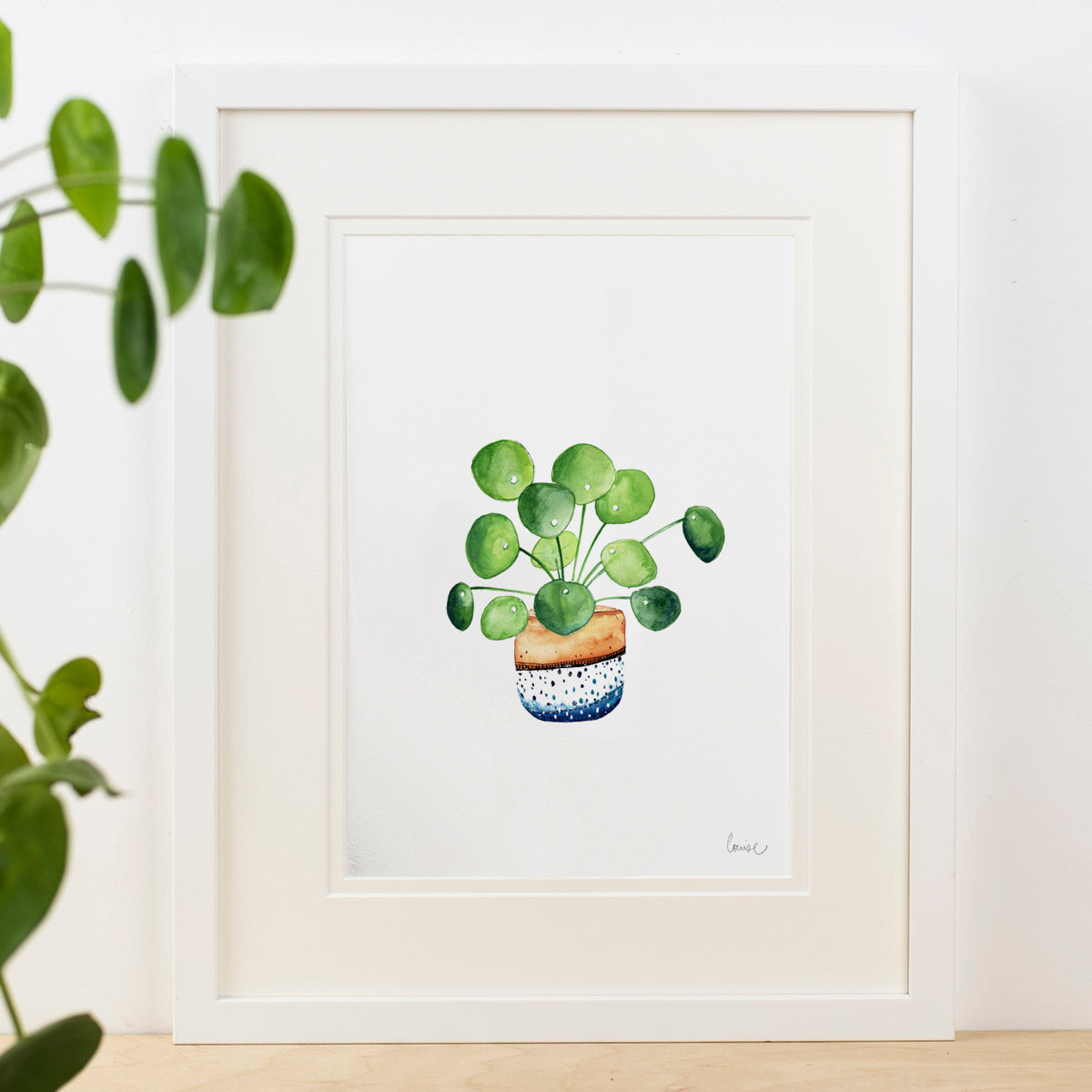 Chinese Money Plant Print