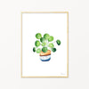 Image of illustrated chinese money plant print in frame