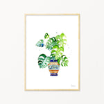 Image of illustrated monstera cheese plant print in frame
