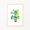 Image of illustrated monstera cheese plant print in frame