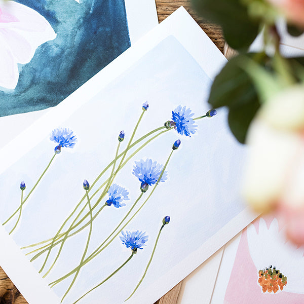 Cornflowers Floral Art Print