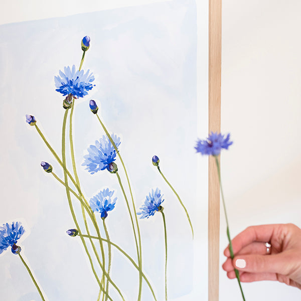 Cornflowers Floral Art Print