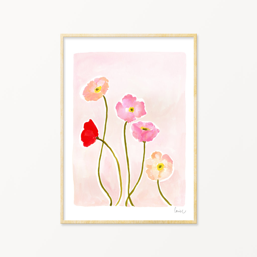 Image of illustrated poppies in a frame