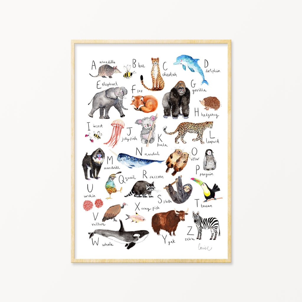 Image of illustrated alphabet print in frame