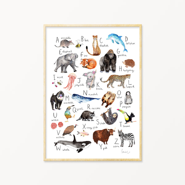 Image of illustrated alphabet print in frame