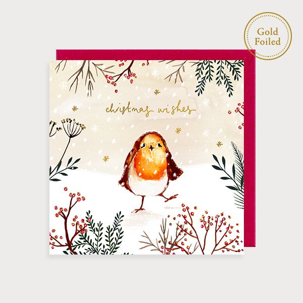 Christmas Wishes Robin Christmas Card