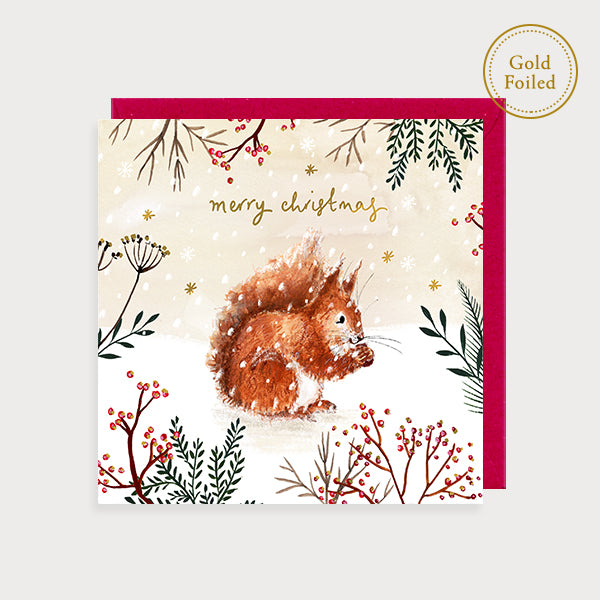 Squirrel Merry Christmas Card