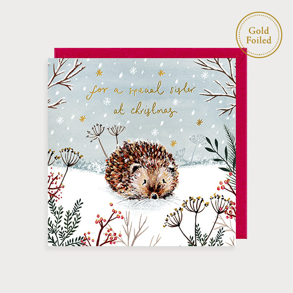 For A Special Sister At Christmas Hedgehog Card