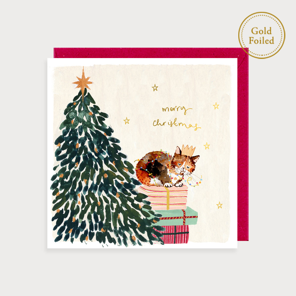 Cat and Presents Merry Christmas Card